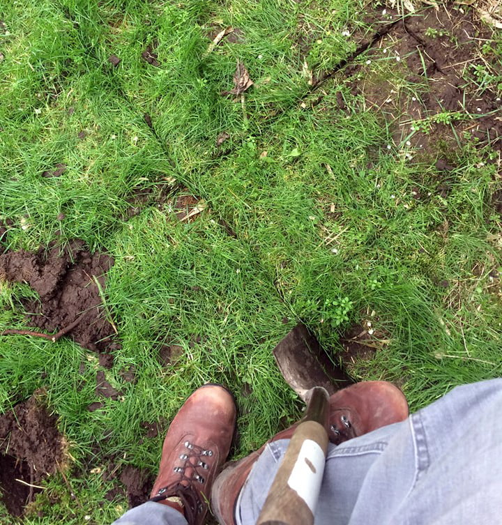 Digging vegetable patch