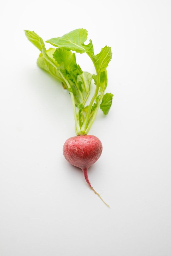 Radish