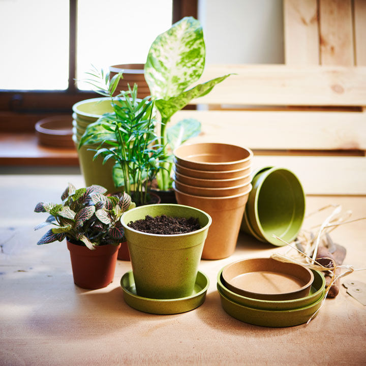 Bamboo and rice containers