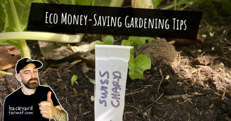 Eco Money-Saving Gardening Tips That Actually Work