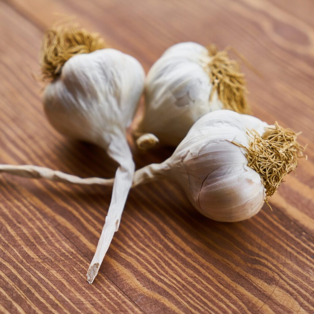 garlic bulbs ready