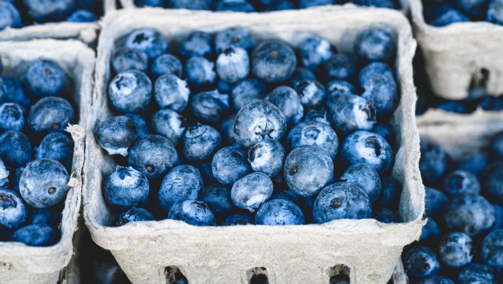 Blueberries