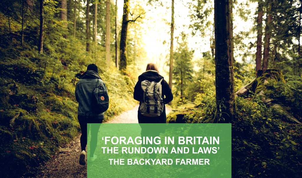 Foraging for food in the UK