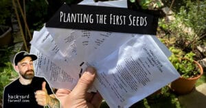 planting the first seeds