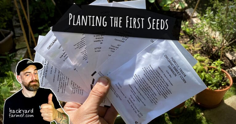 planting the first seeds