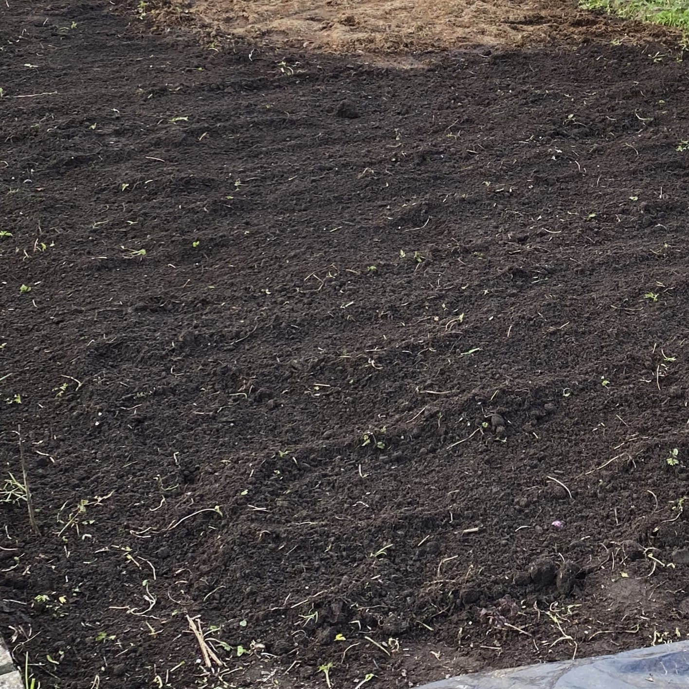 Prepare the soil