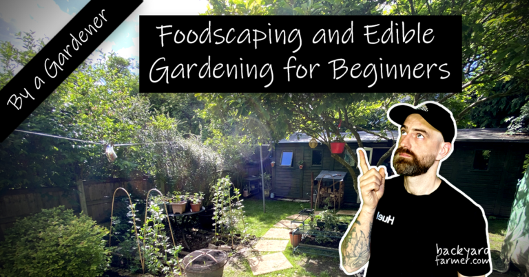 Foodscaping and Edible Gardening for Beginners