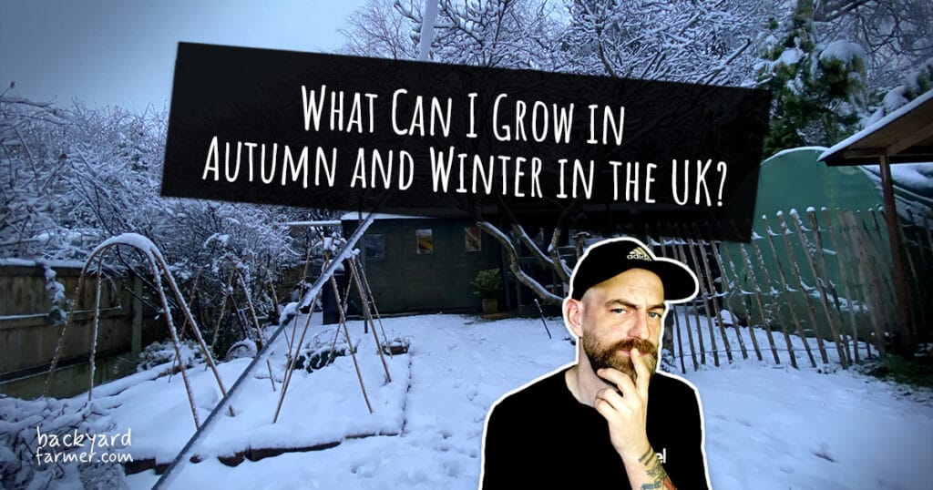 What Can I Grow in Autumn and Winter in the UK?