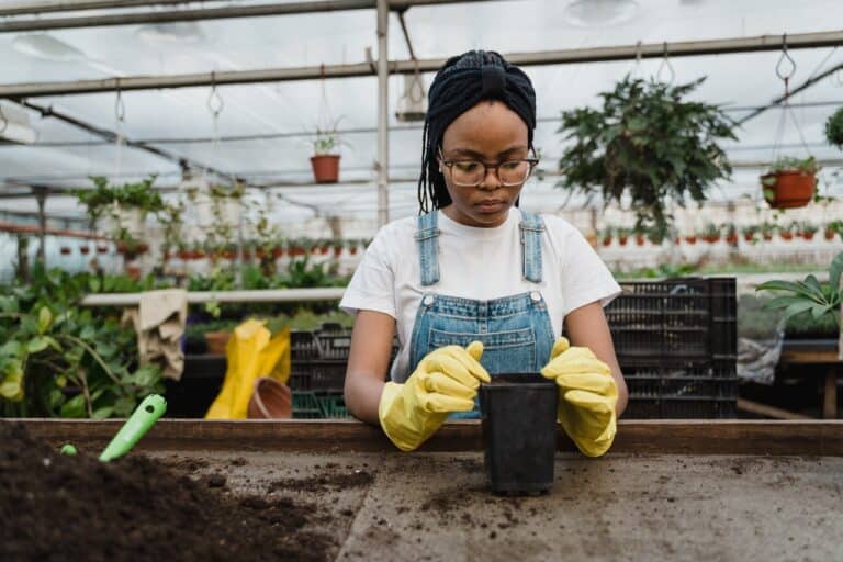 herb planting for beginners