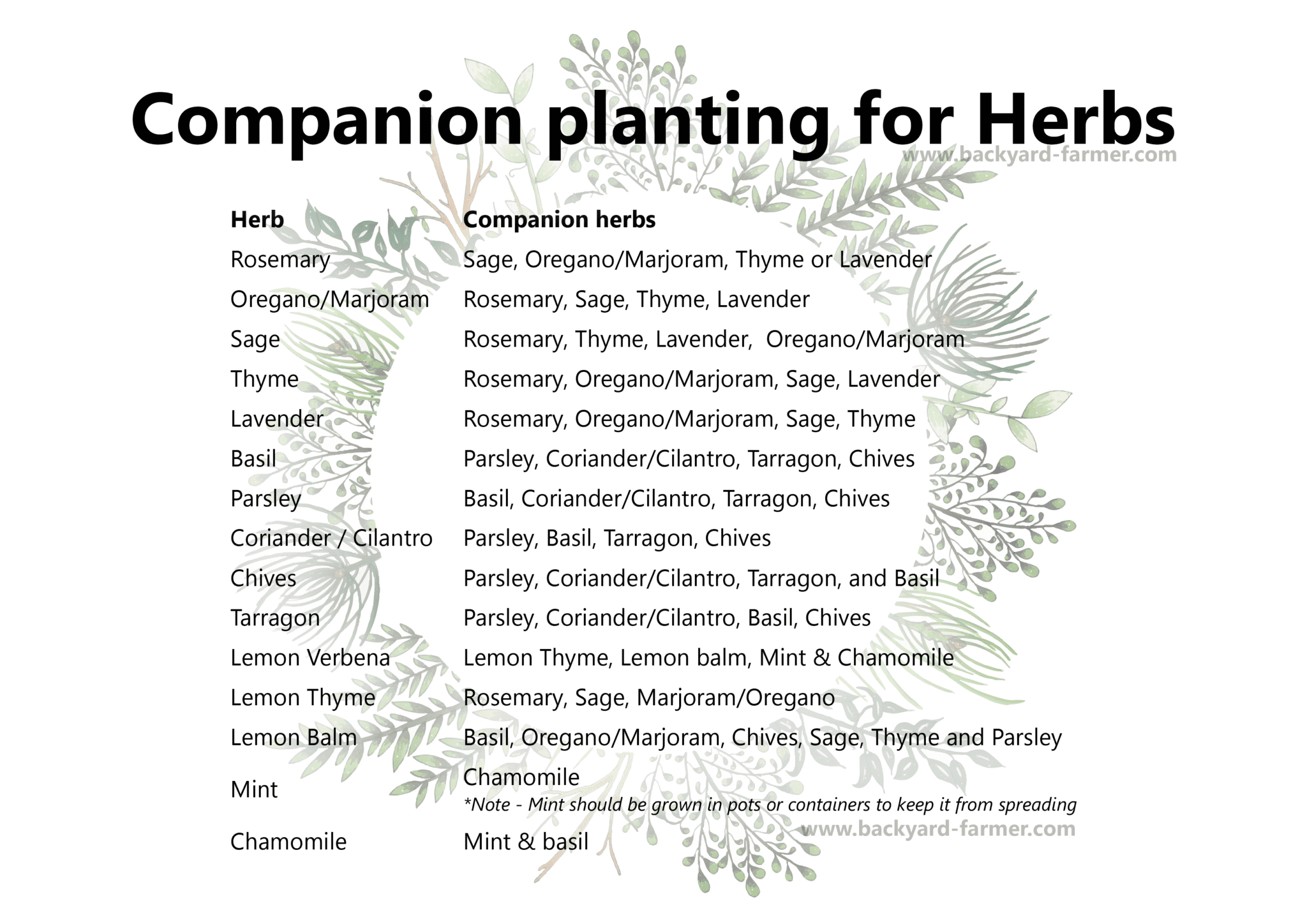 How to grow a Herb Garden for beginners The Backyard Farmer