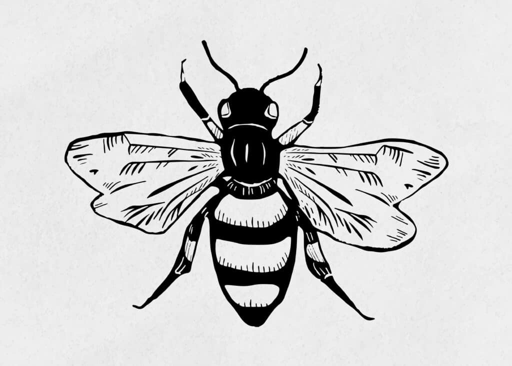 Bees sting