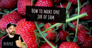 How to make one jar of jam