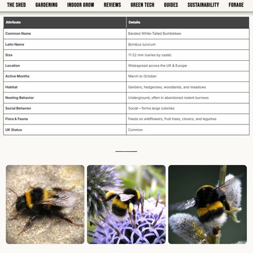 Step 3 Read he bee information supplied