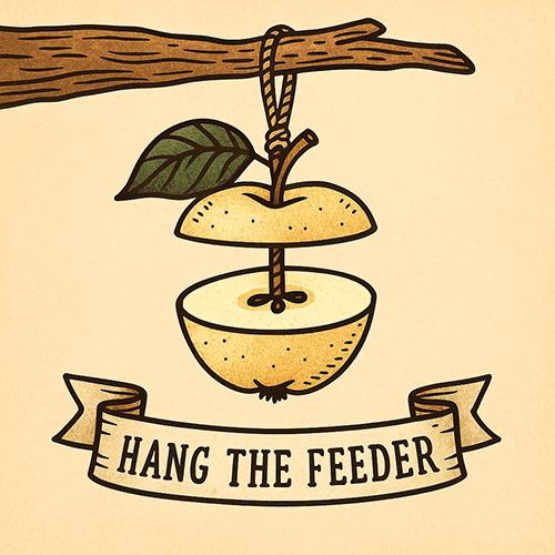 Apple bird feeder hanging in a visible garden spot, safe from predators and easy for birds to reach