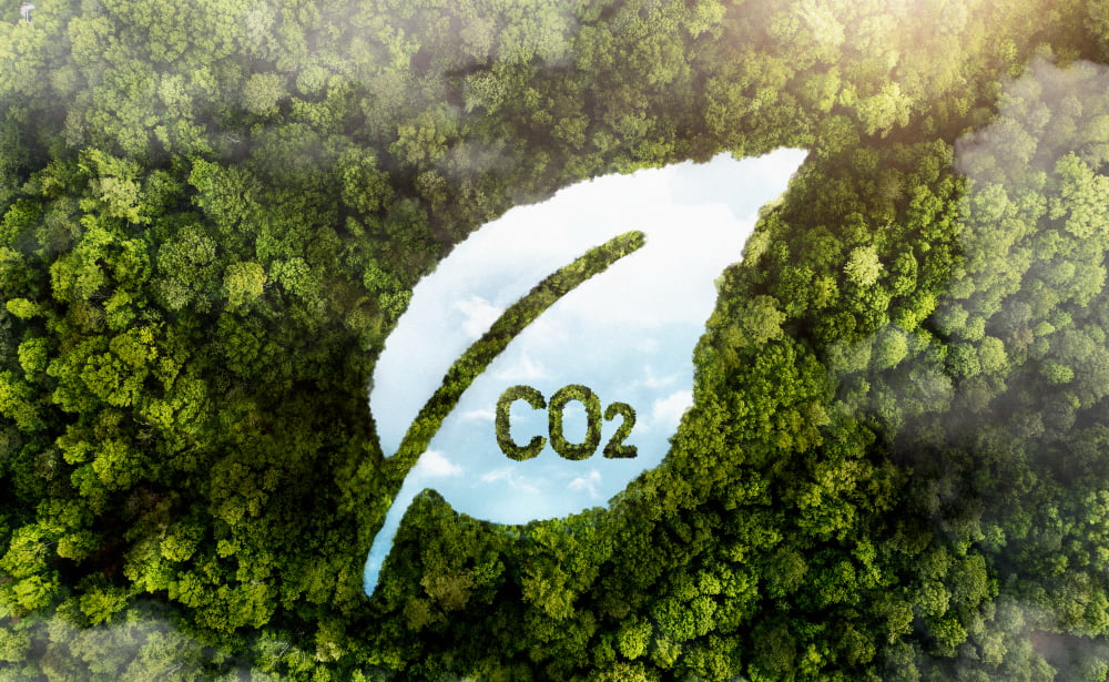 carbon neutral 