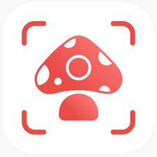 picture mushroom fungi finder