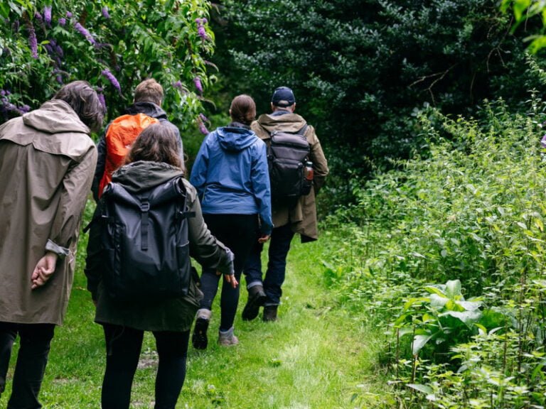 Totally wild foraging in the uk