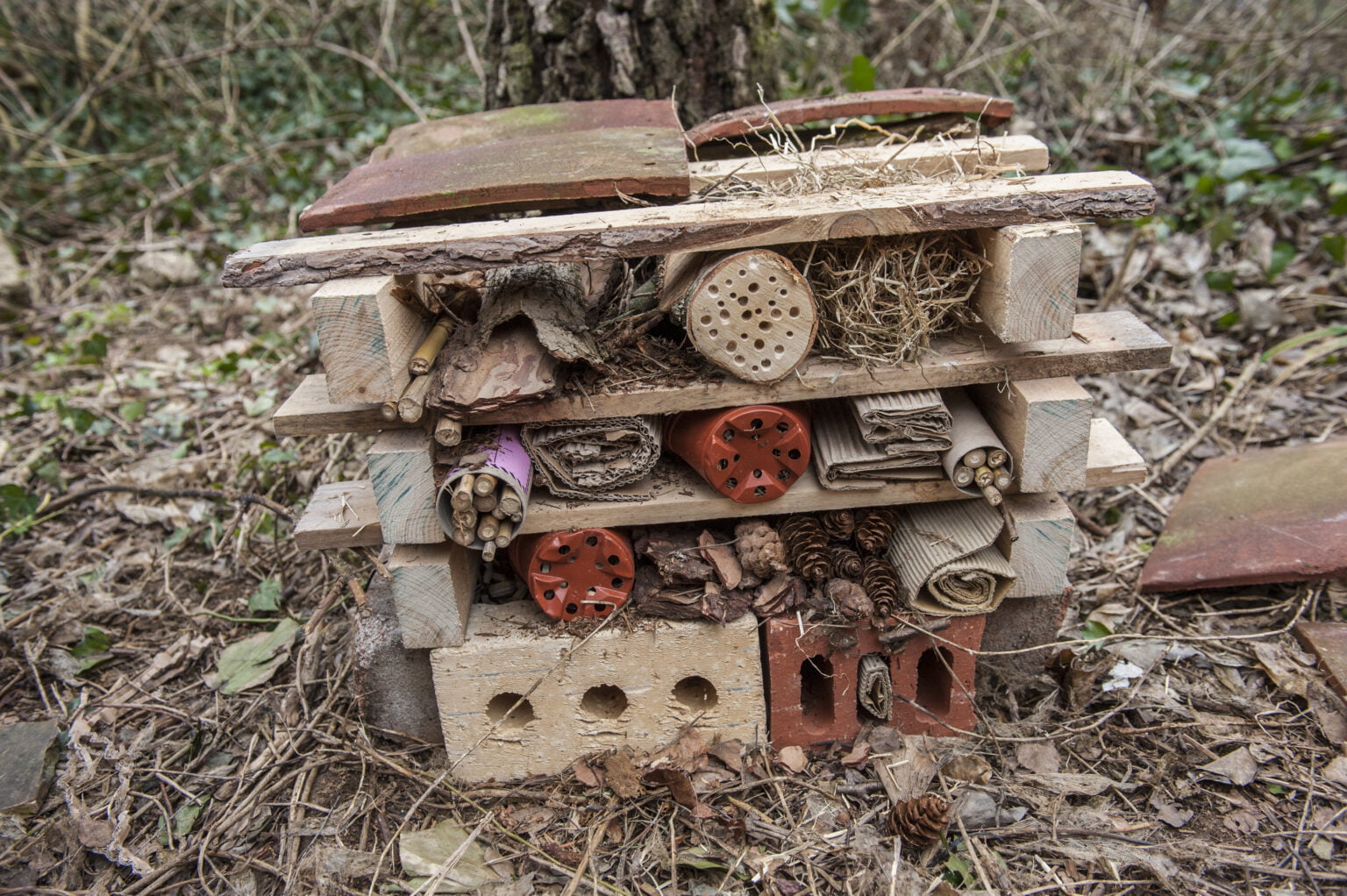 How to make a bug hotel