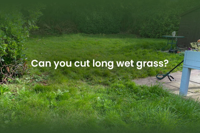 can you cut long wet grass