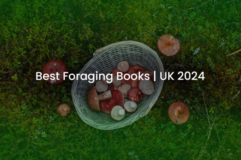 Best Foraging Books UK 2024