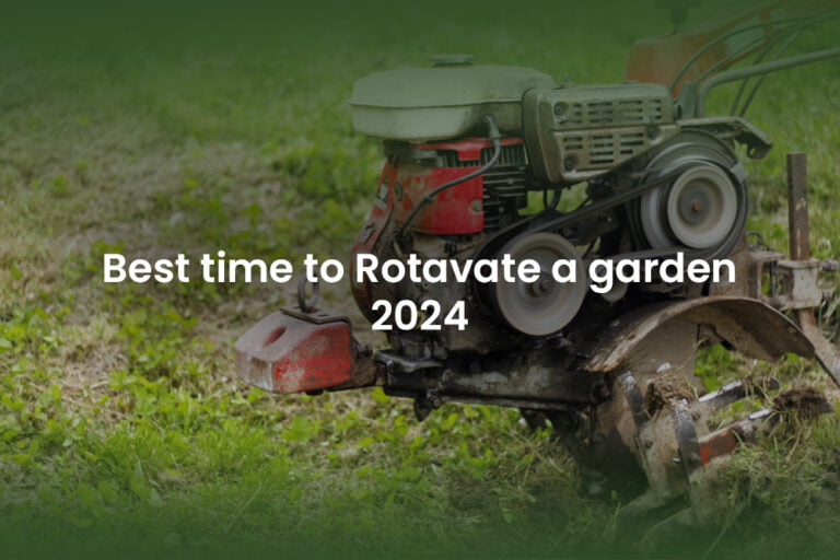 best time to rotavate a garden