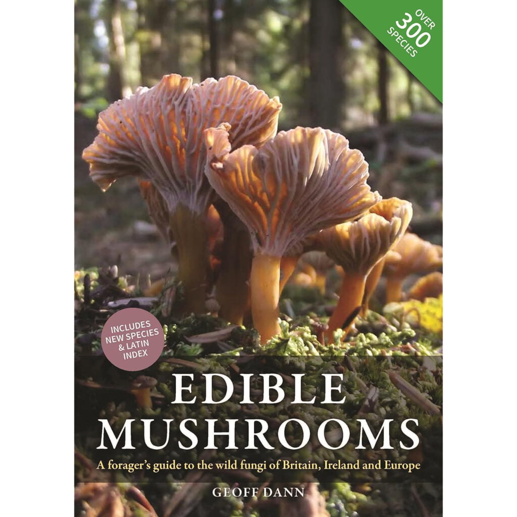 edible mushrooms