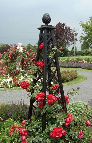 Garden obelisks with roses