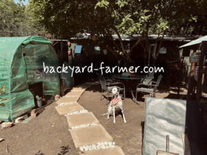 The backyard farmer