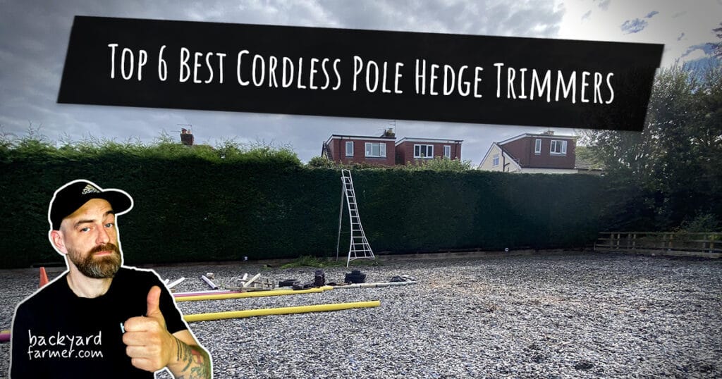 Top 6 Best Cordless Pole Hedge Trimmers