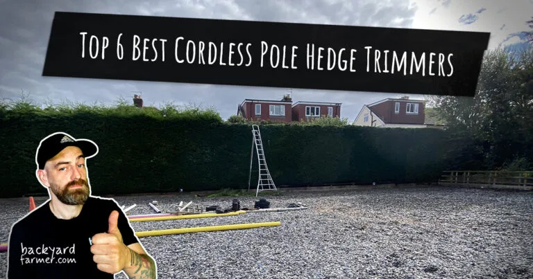 Top 6 Best Cordless Pole Hedge Trimmers