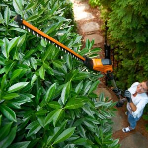 worx cordless hedge trimmer