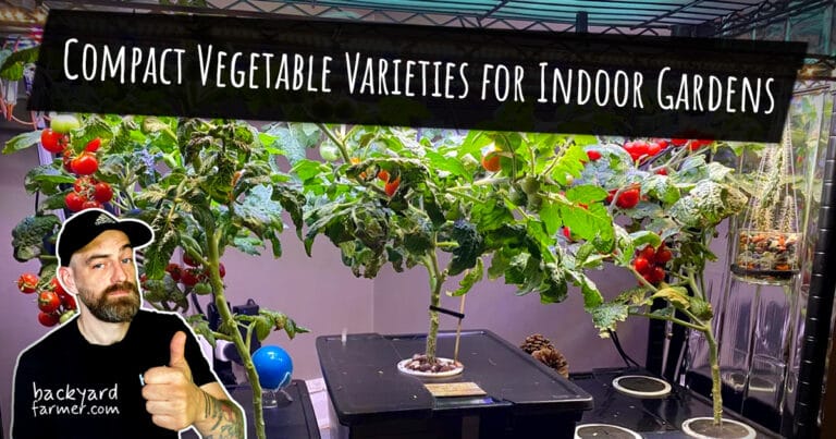 compact vegetable varieties for indoor gardening