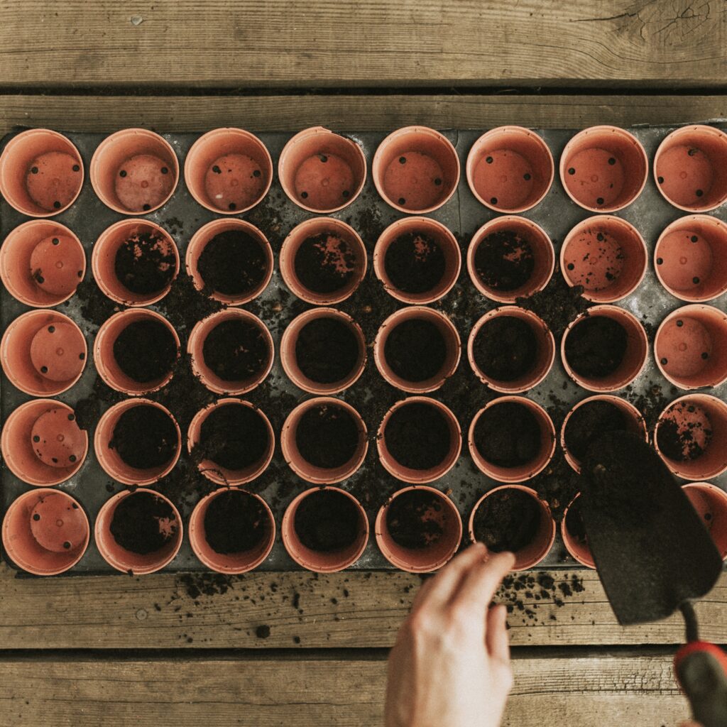 Gardener adding soil to flower pots 