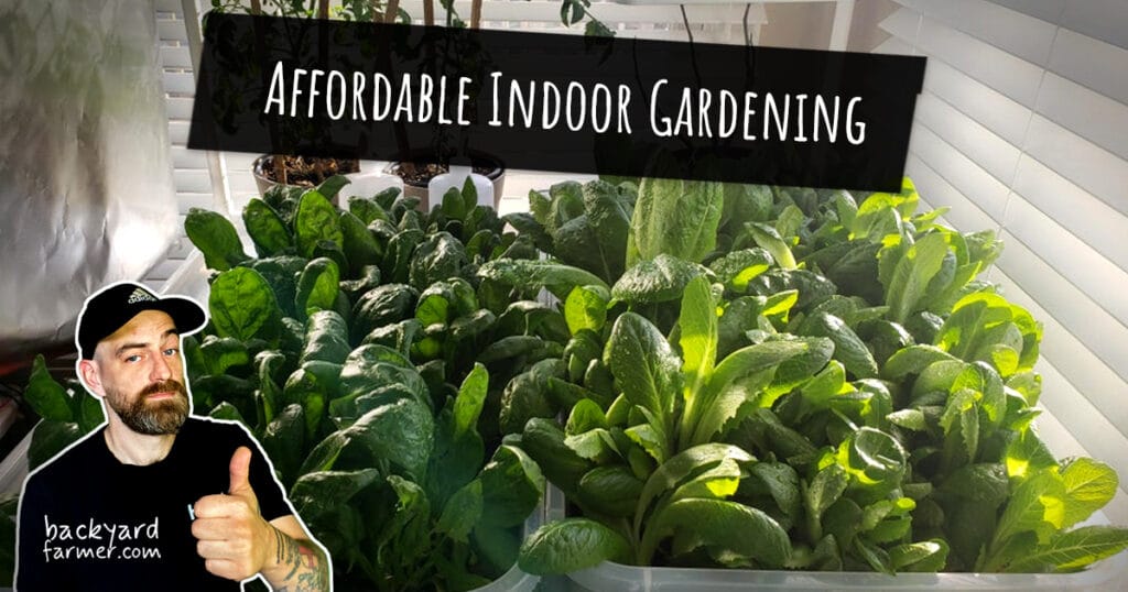 affordable indoor gardening