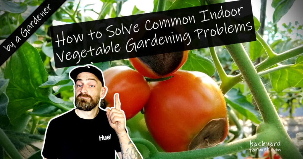 common indoor gardneing problems