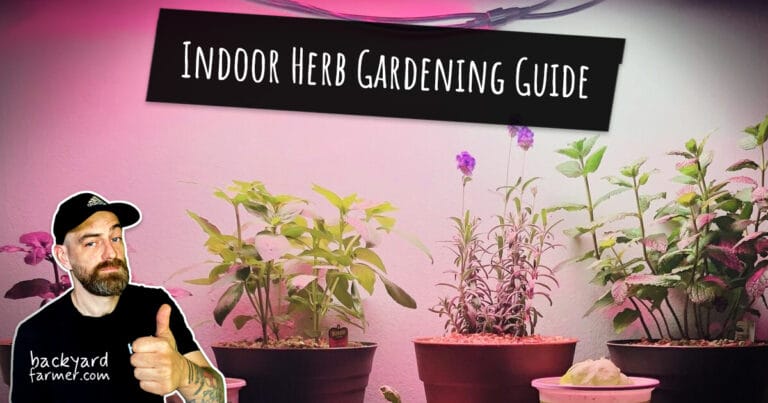 indoor herb gardening