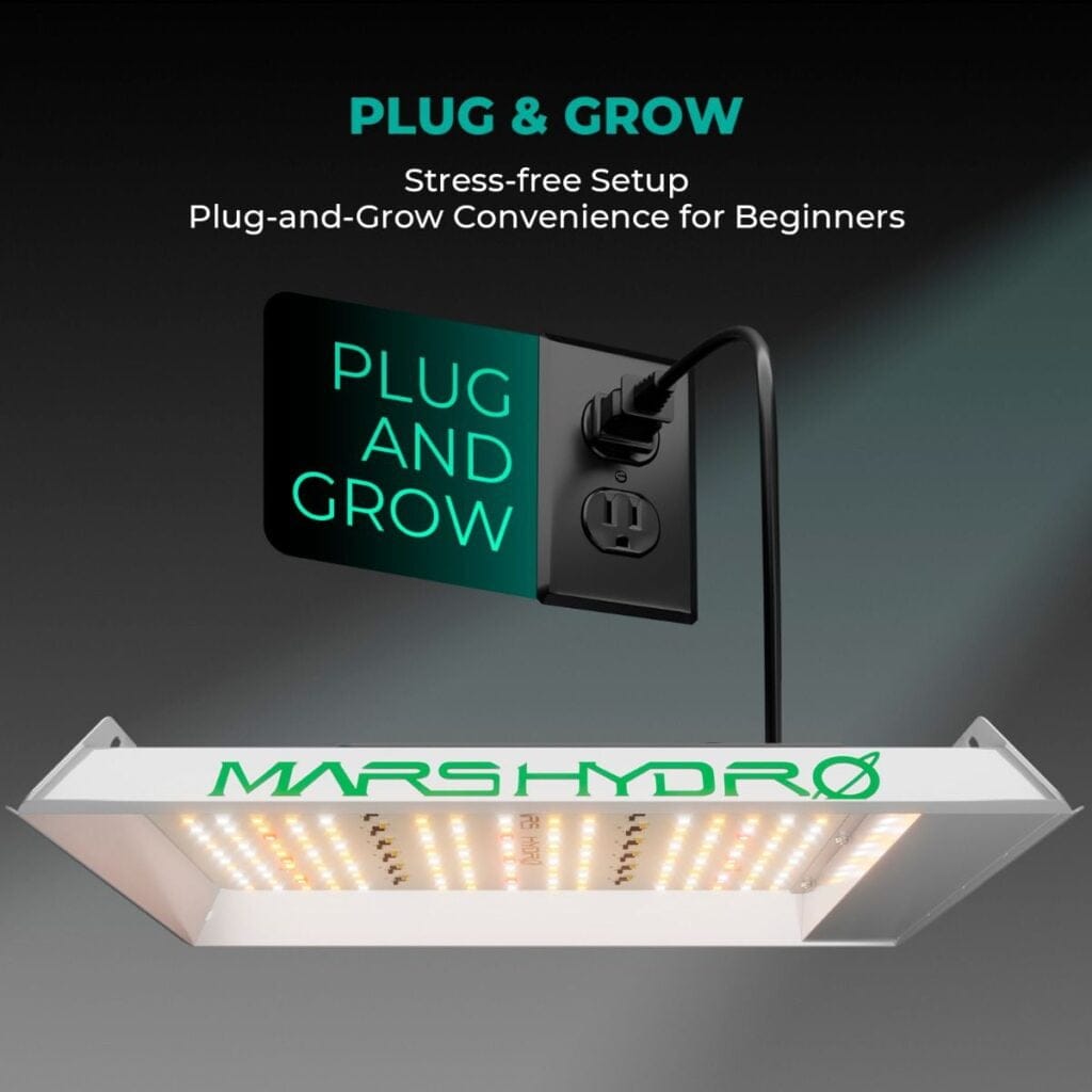 Indoor garden setup using the Mars Hydro TS 1000 LED Grow Light, showcasing full-spectrum lighting for healthy plant growth