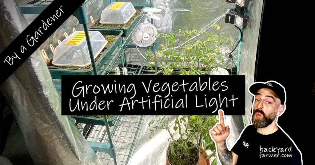 Growing under artificial light