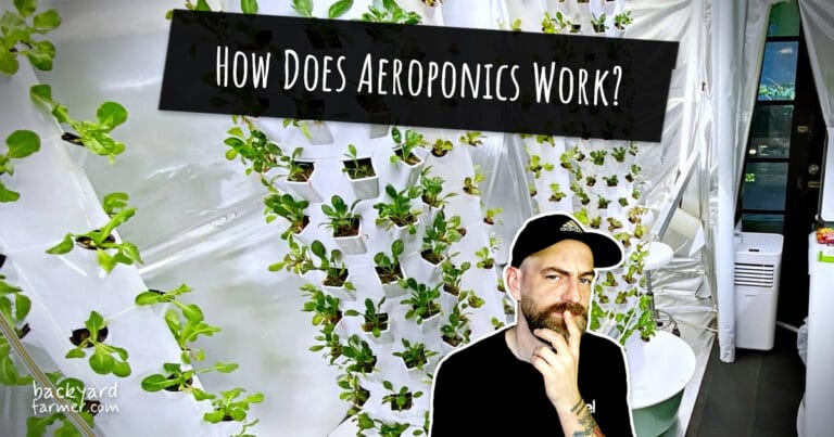 How Aeroponics Works