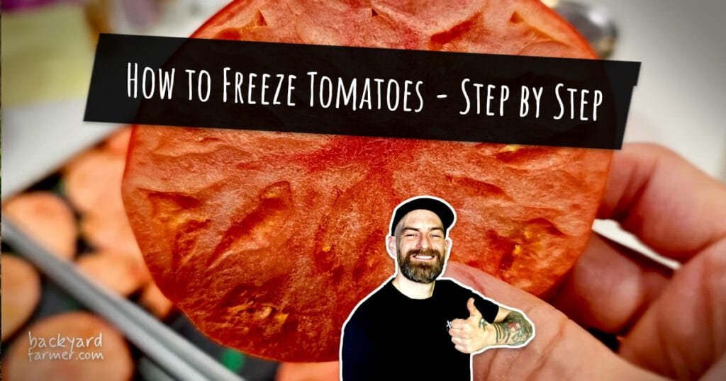 Assorted ripe tomatoes on a kitchen counter, prepared for freezing in airtight containers to preserve flavor and nutrients.