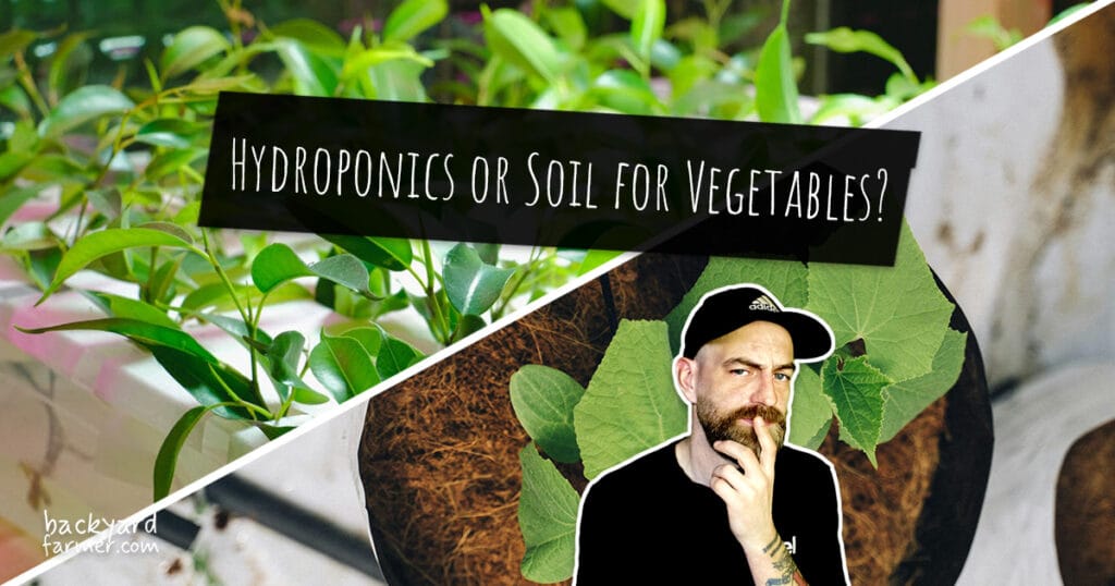 Split image of hydroponic and soil-grown plants with a person thinking, captioned “Hydroponics or Soil for Vegetables?”
