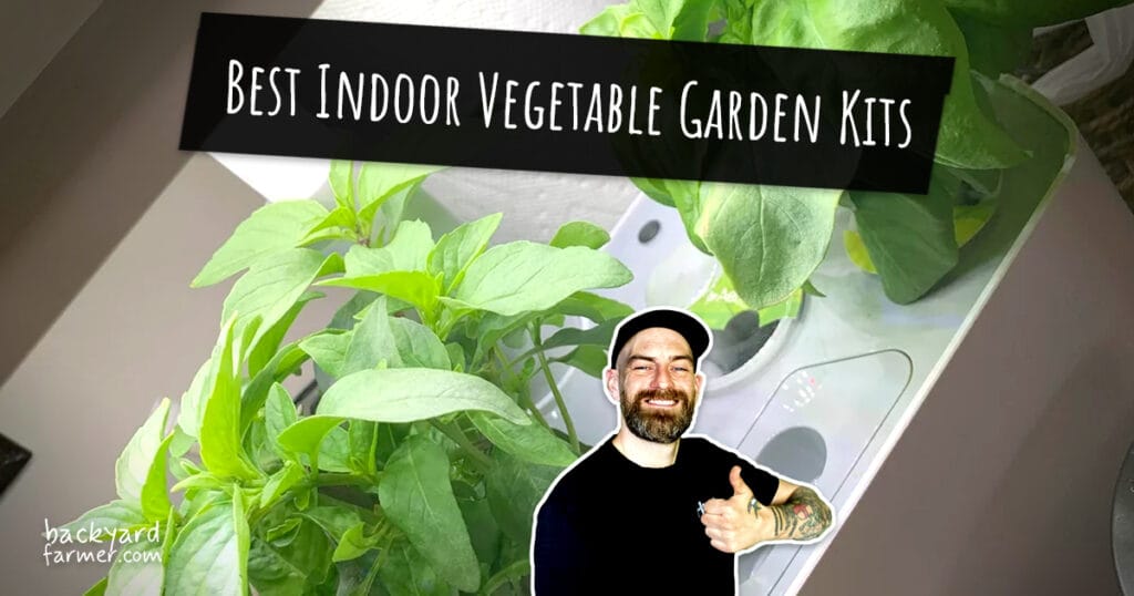 Best Indoor Vegetable Garden Kits