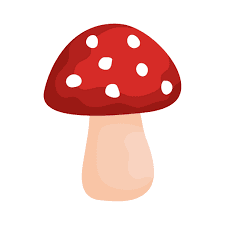 Shroomify App