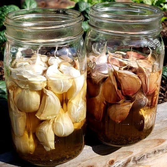 soaking garlic cloves