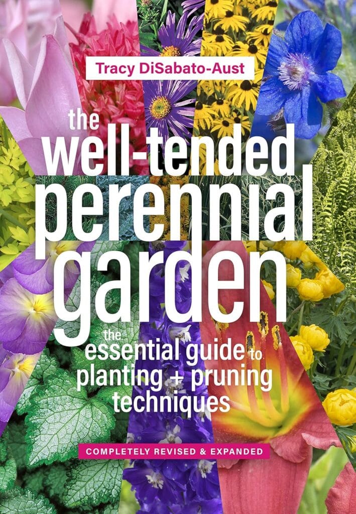 Well teneded perenial garden