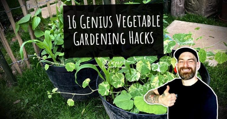16 Genius Vegetable Gardening Hacks