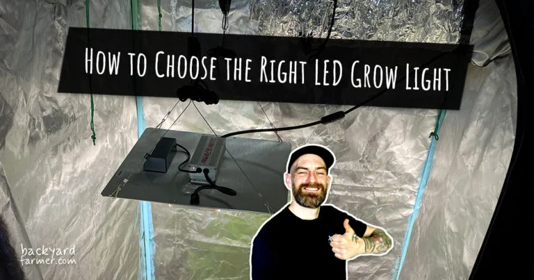 How to Choose the Right LED Grow Light