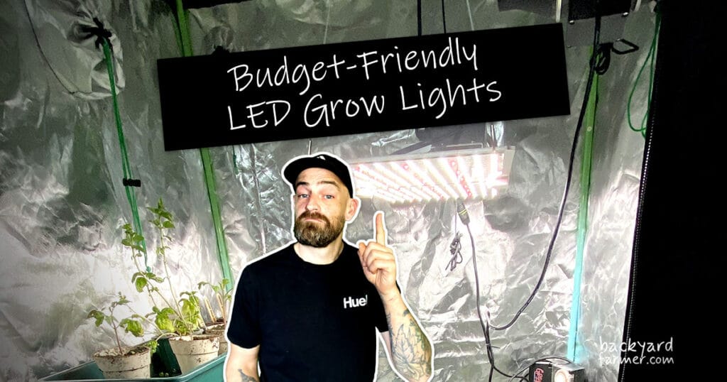 Indoor gardener pointing at a sign labeled "Budget-Friendly LED Grow Lights" inside reflective grow tent with plants