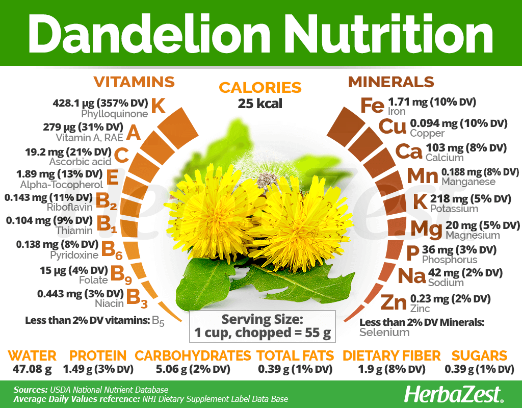 dandelion nutrition facts