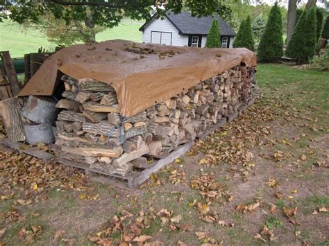 Stacked firewood